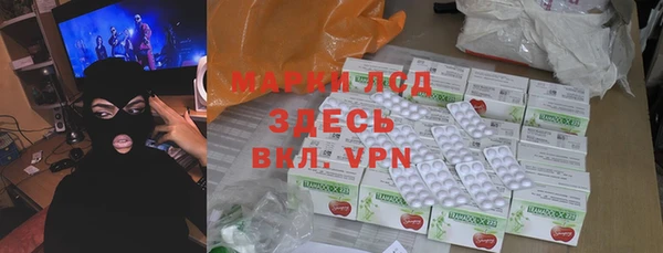 прущие грибы Абаза