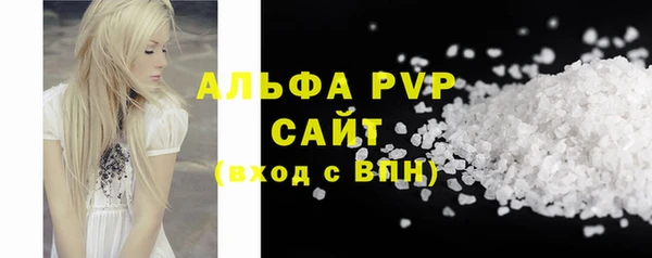твердый Пересвет