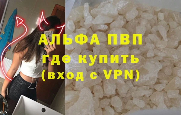 прущие грибы Абаза