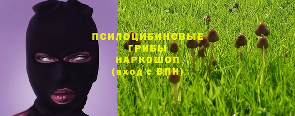 амф Алексин