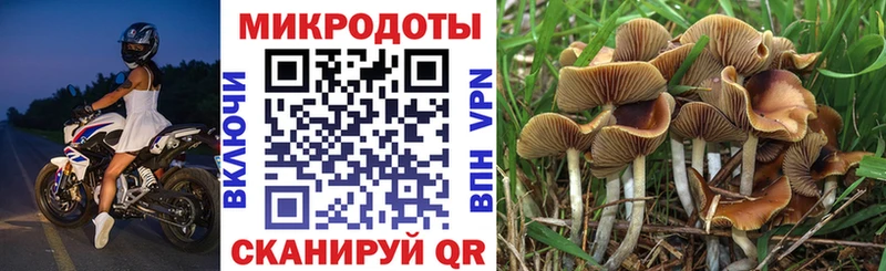 дарнет шоп  Карасук  Галлюциногенные грибы GOLDEN TEACHER 
